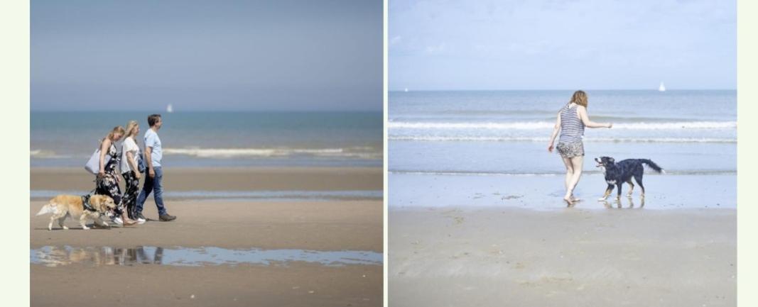 Strandchalet Bredene Eksteriør billede