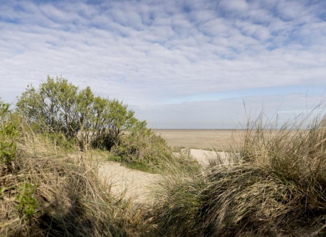 Strandchalet Bredene Eksteriør billede